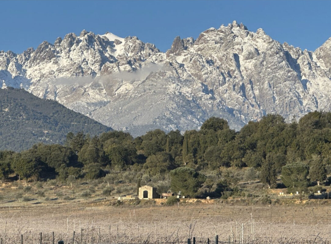 Кло Вентури / Clos Venturi