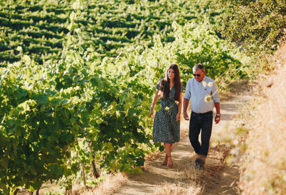 Domaine Comte Abbatucci
