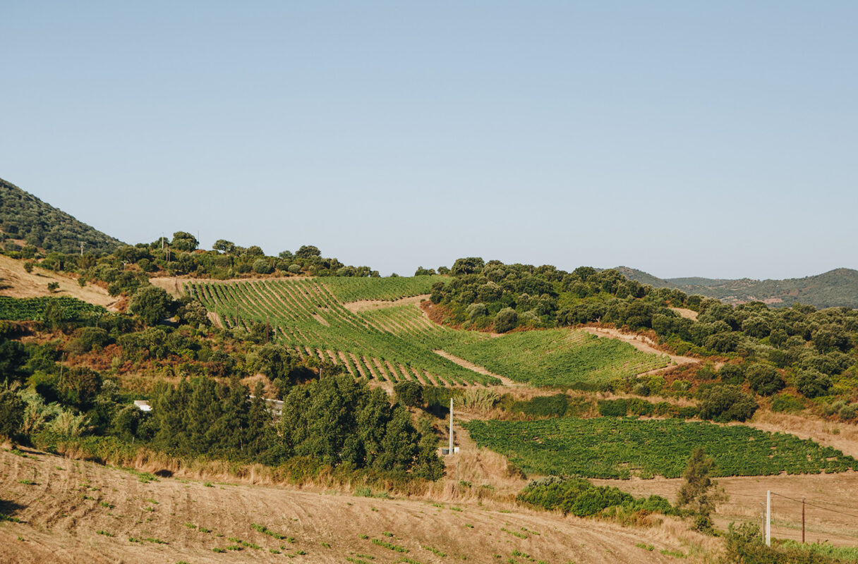 Domaine Comte Abbatucci
